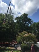 5th Aug 2019 - Crane taking the tree off their house