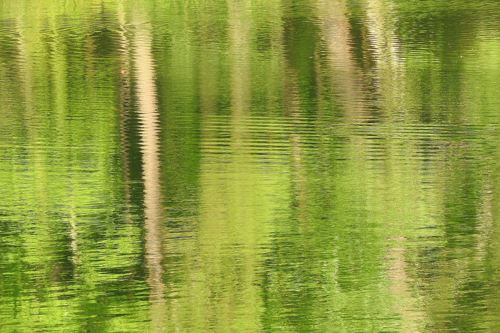 Abstract lake by homeschoolmom