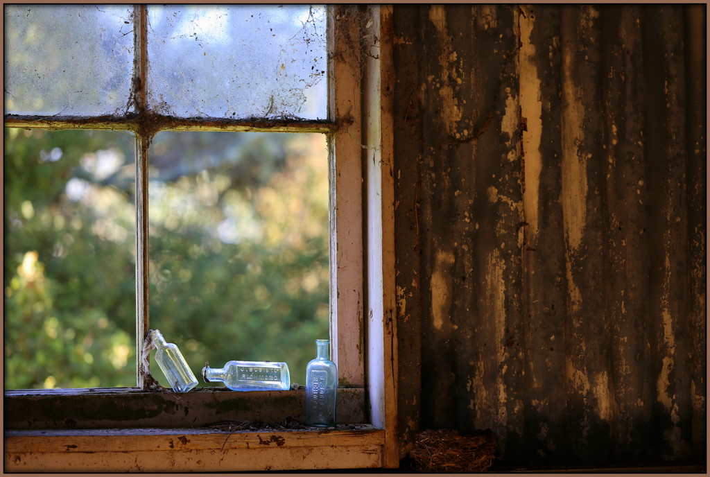 The window by dide