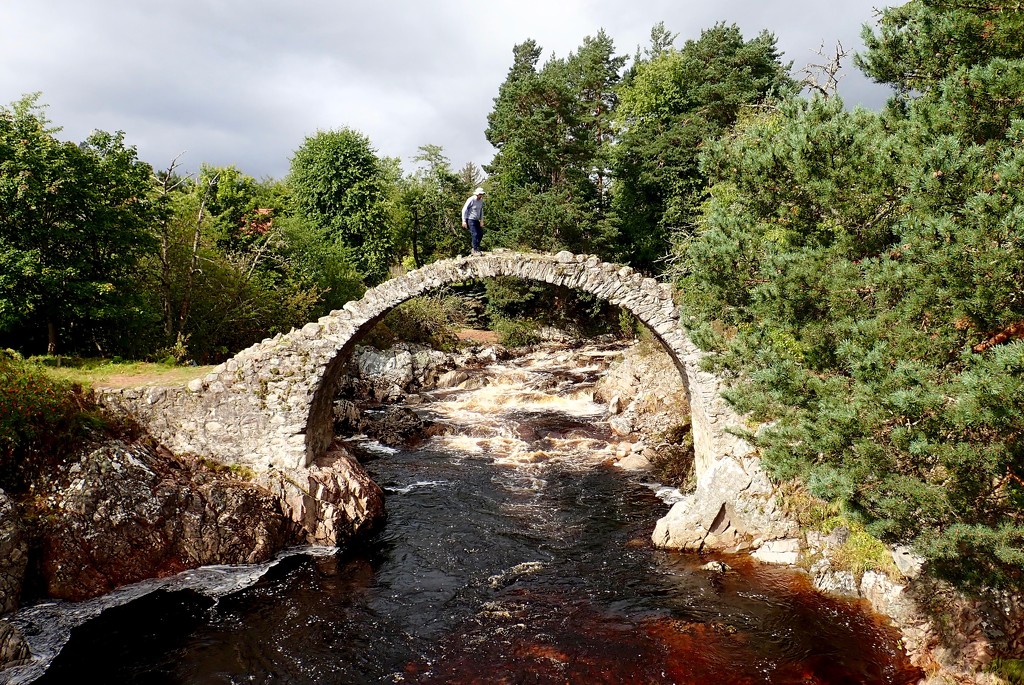 BLIND TOURIST AT CARRBRIDGE by markp