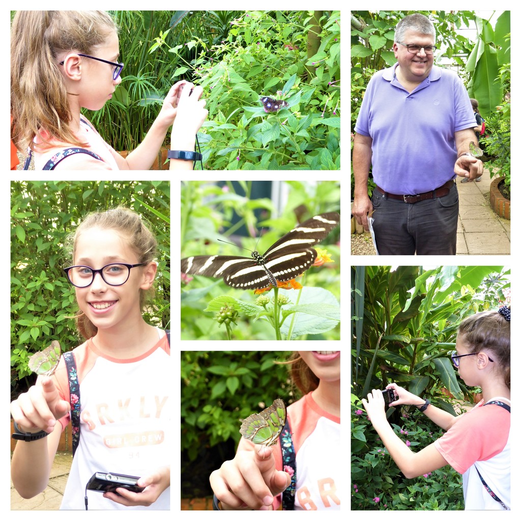 Charlotte (and Grandpa) at the Butterfly House by susiemc