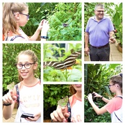 20th Aug 2019 - Charlotte (and Grandpa) at the Butterfly House