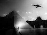22nd Aug 2019 - the louvre - a shameless composite