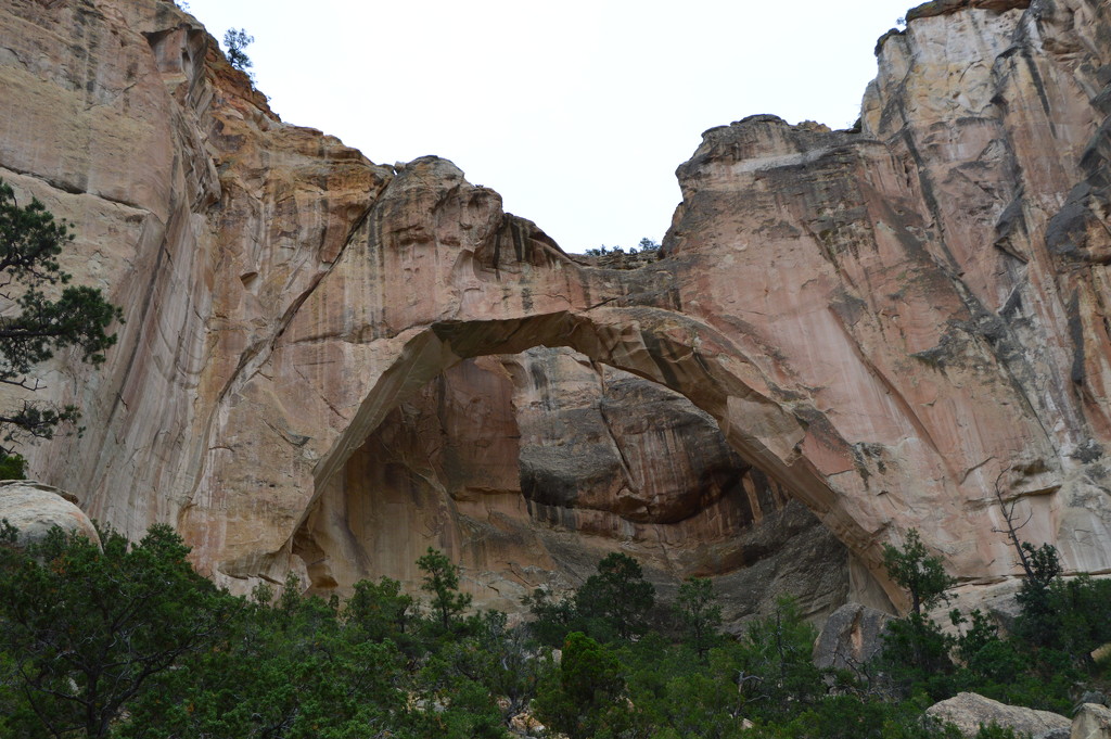 El Malpais Arch, NM by bigdad