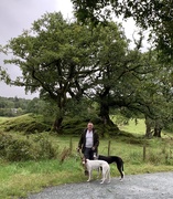 23rd Aug 2019 - Hubby and hounds