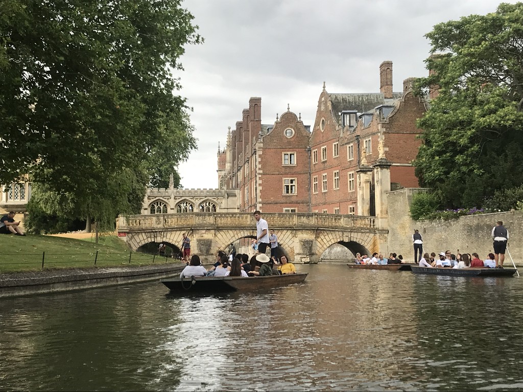 Cambridge punting  by goosemanning