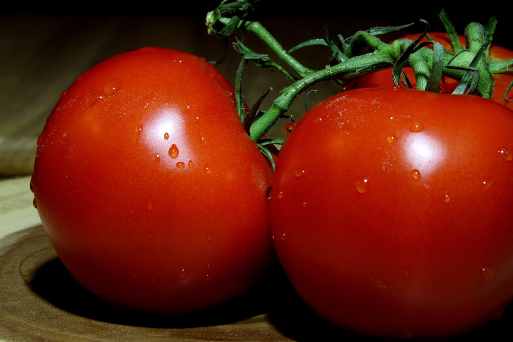 Day 235:  Nice Tomatoes by sheilalorson
