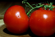 23rd Aug 2019 - Day 235:  Nice Tomatoes