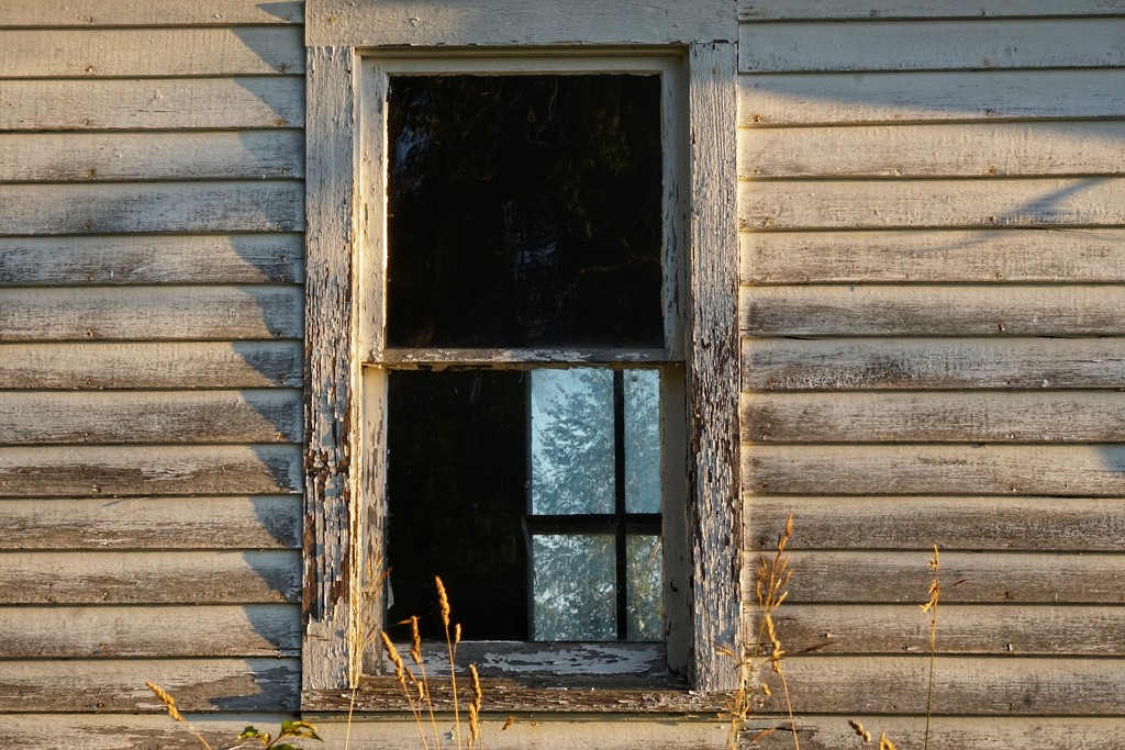 old windows by amyk