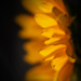 blurry glow by jernst1779