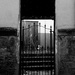 Gate, Steps, Door by allsop