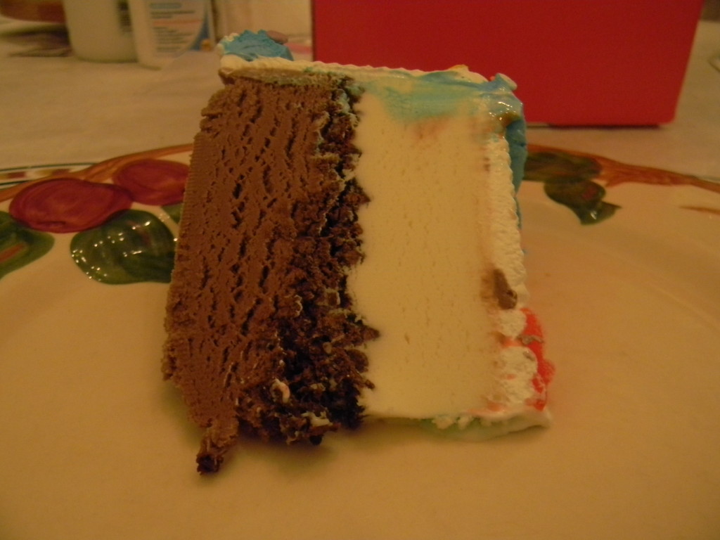 Piece of Mom's Birthday Ice Cream Cake  by sfeldphotos