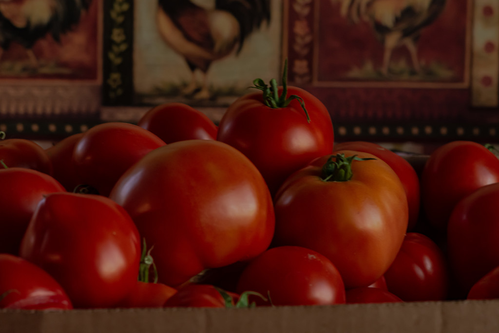 Tomatoes, Anyone? by farmreporter