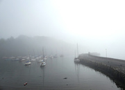 25th Aug 2019 - Foggy Harbour