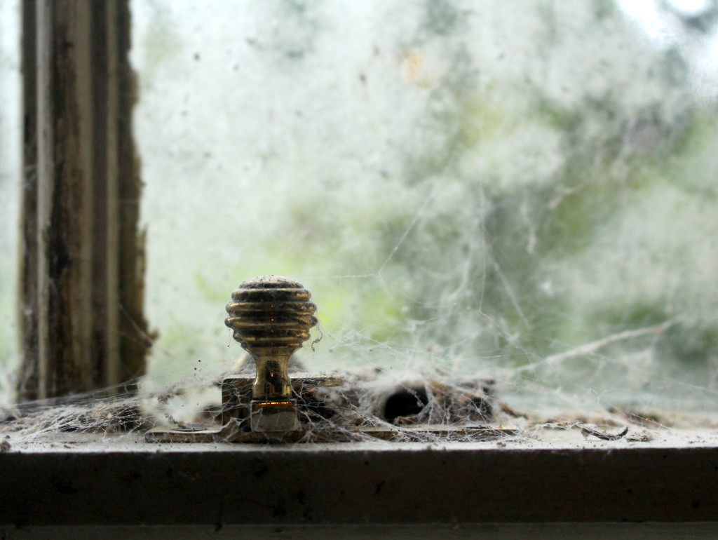 Cobwebs on the window by boxplayer