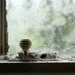 Cobwebs on the window by boxplayer