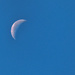 Morning moon by novab