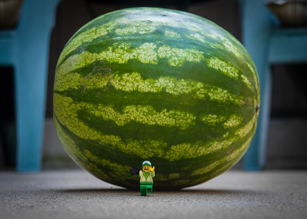 (Day 191) - Raiders of the Lost Watermelon by cjphoto
