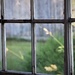 window by edorreandresen