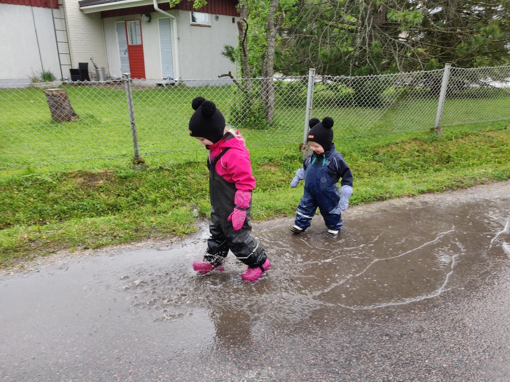 Sisu and Mimi enjoying rainy weather by annelis