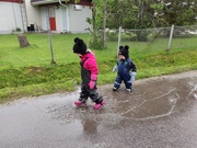 24th May 2019 - Sisu and Mimi enjoying rainy weather