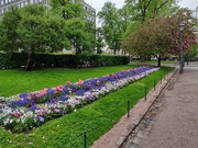 26th May 2019 - Esplanade Park in Helsinki