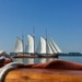 Wonderful sailing on the Dutch IJsselmeer by stimuloog