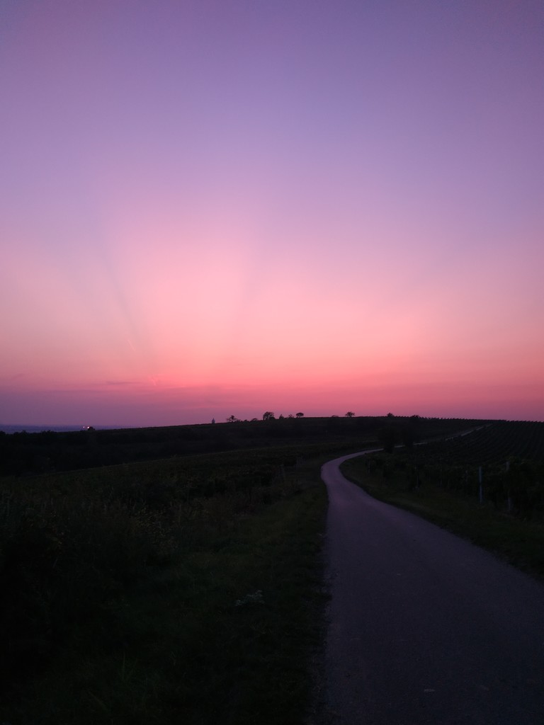 Sunset by jakr
