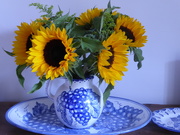 23rd Aug 2019 - Birthday sunflowers