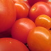Tomatoes from the greenhouse by lellie