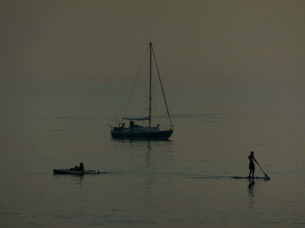 Sailing at Sunset. by gaf005