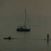 Sailing at Sunset. by gaf005