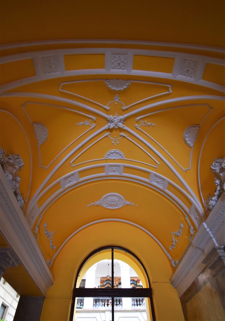 Ornate ceiling by kork
