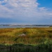 Montrose Basin  by lifeat60degrees