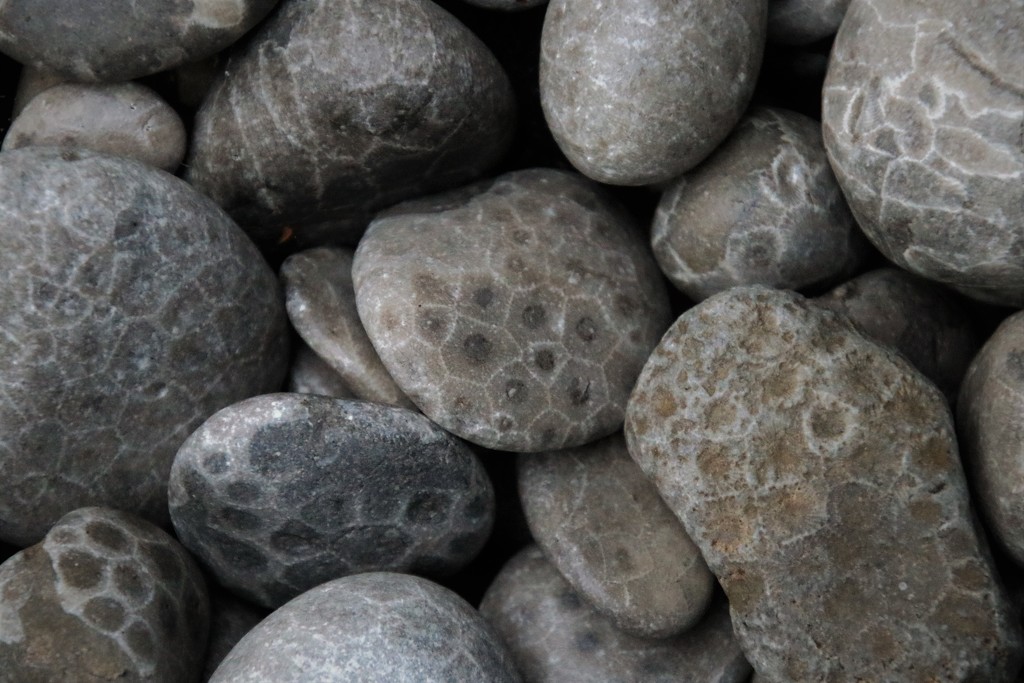 Petoskey stones by edorreandresen