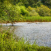 Swampy Etowah by kvphoto