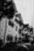 28th Aug 2019 - Through the rain drenched window