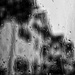 Through the rain drenched window by ramr