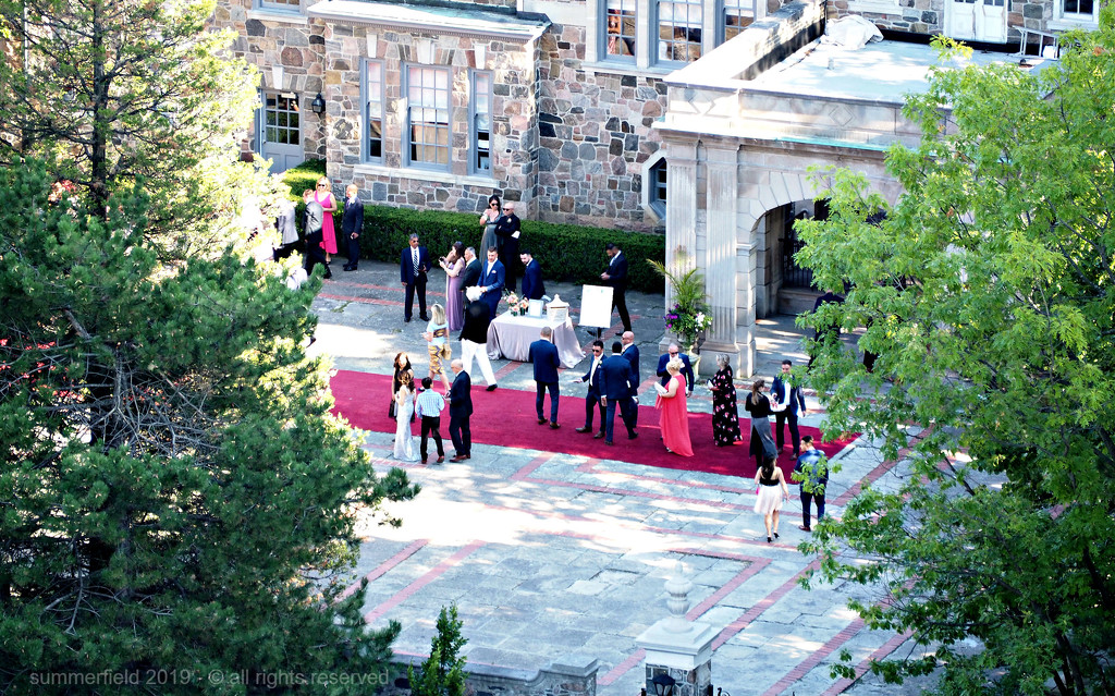 people on red carpet by summerfield