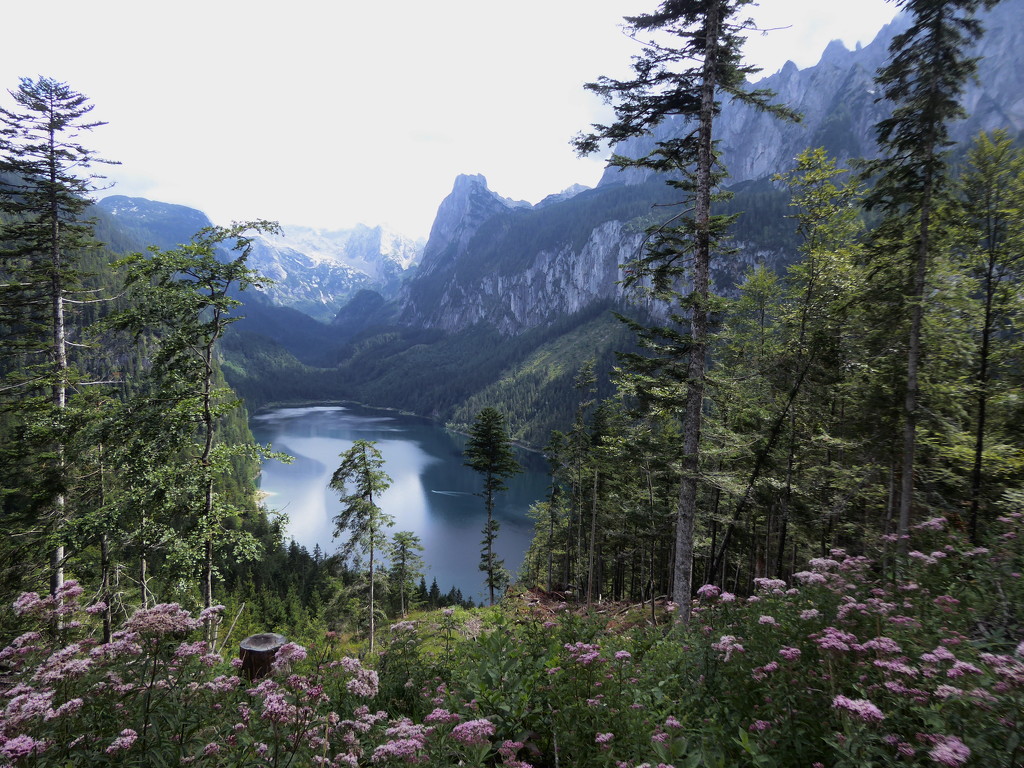 Lower Gosau Lake by cmp