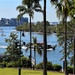 A View From Newstead House Verandas ~   by happysnaps