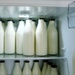 Dairy Line-up by maggiemae