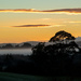 Morning Mist by yorkshirekiwi