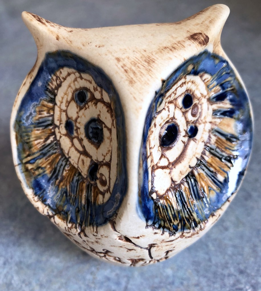 Owl by kjarn