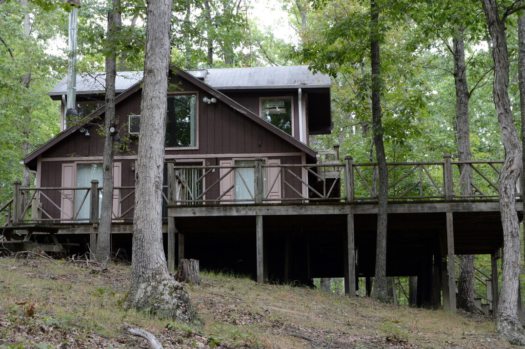 House in the woods by francoise