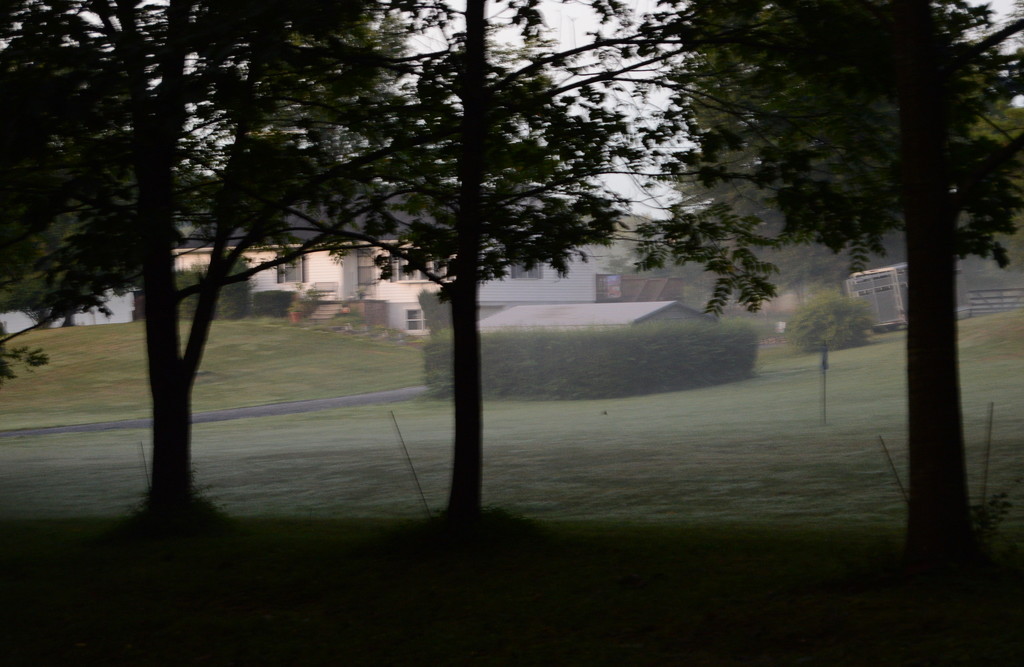 House in the fog by francoise