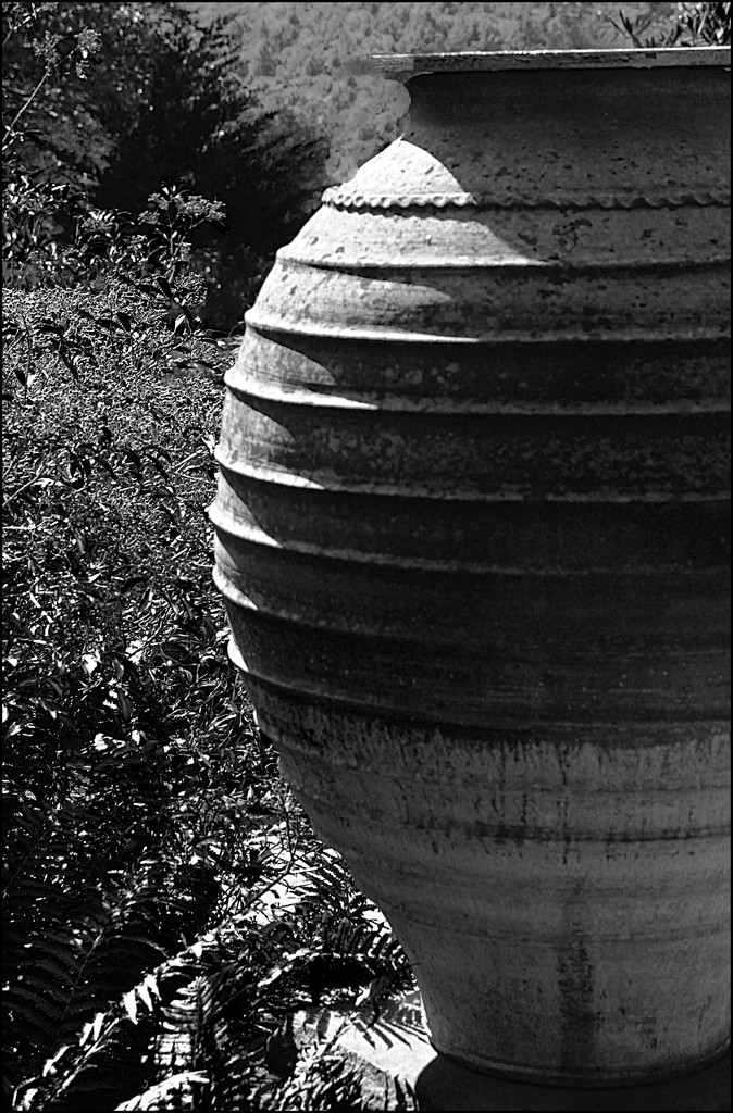 Terra Cotta Garden Vase by olivetreeann