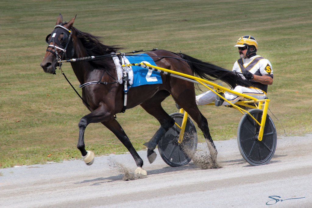 Harness Racing by skipt07