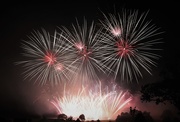 31st Aug 2019 - Firework Competition I