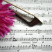 Music and Flower by gq